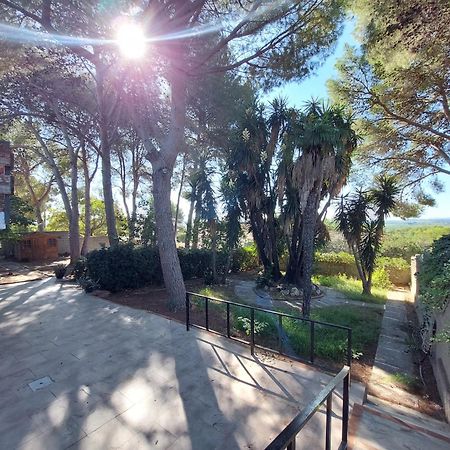 Chalet Rustico Con Piscina Y Barbacoa, Valencia Torrente  Exterior foto