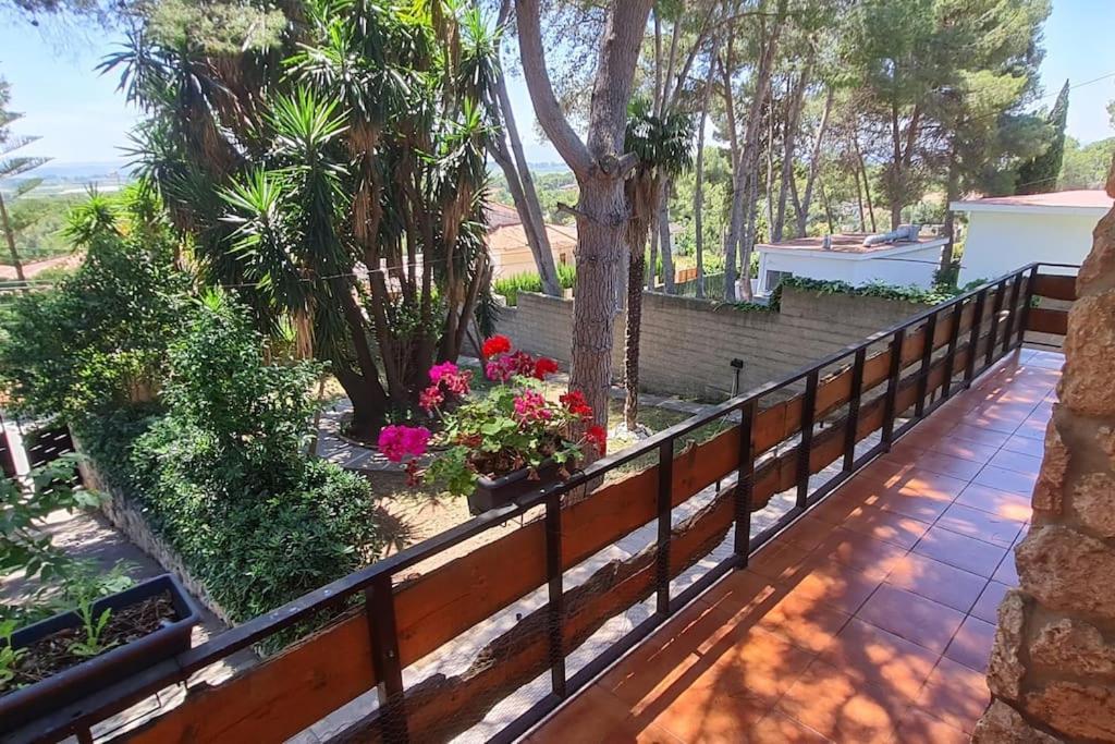 Chalet Rustico Con Piscina Y Barbacoa, Valencia Torrente  Exterior foto